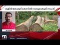 50 ലക്ഷം രൂപ വരെ പിഴയൊടുക്കാൻ നോട്ടീസ് മുട്ടില്‍ മരംമുറി കേസിൽ ആശങ്കയോടെ ഭൂവുടമകള്‍