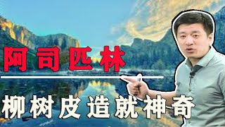 阿司匹林的傳奇二：平平無奇柳樹皮造就神奇【考研張雪峰】