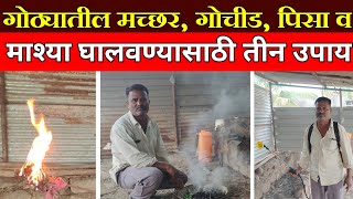 गोठ्यातील मच्छर गोचीड पिसा व माश्या घालवण्यासाठी तीन उपाय || mosquito killer.