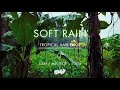 Soft Rain On Leaves | No Ads | Soothing Gentle Rain Sounds For Sleeping🌧