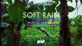 Soft Rain On Leaves | NO ADS | Soothing Gentle Rain Sounds For Sleeping🌧