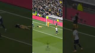 Goals Emerson 🔥🔥 || Tottenham vs Newcastle || #Shorts #Tottenham #Spurs #FansSpurs