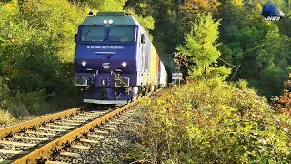 Jimmy Tricolor 64-0920-0 \u0026 Piranda~GM 65-0989-7 la/at Tunelul Șuncuiuș Tunnel - 29 September 2019