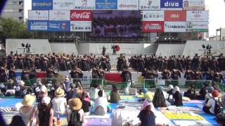 早稲田大学“踊り侍”　2016よさこい全国大会 中央公園競演場