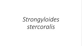 Strongyloides stercoralis- Parasitology