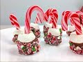 Candy Cane Marshmallow Pops