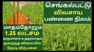 சென்னை அருகே விவசாய பண்ணை நிலம் வாங்கி வெள்ளரி விவசாயம் செய்யலாம் #farmhouse #polyhousefarming #land