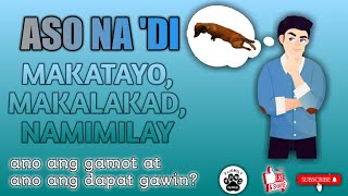 #asongdimakalakad #asongnamimilayatpaikaika GAMOT SA ASONG PAIKA-IKA,NAMIMILAY AT DI MAKALAKAD