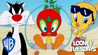 Looney Tuesdays | Best of Tweety from Sylvester and Tweety Mysteries 🔍 | Looney Tunes | @WB Kids