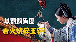 用甄嬛“哑巴”鹦鹉的视角打开火烧碎玉轩，原来后宫女人这么阴险【九月清宫】