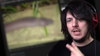 That's a WHAT?! | Reddit 50/50 Challenge