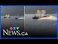 ‘Shocked and Stunned’ | Witness recounts moment jet skier collided with a grey whale in Vancouver