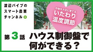 作物を大切に育てる「いたわり温度調節」で安心管理！スマート農業で高収益を目指す渡辺パイプのスマート農業チャンネル＃03