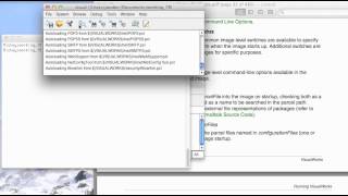 ST 4U 233: Startup Options for VisualWorks