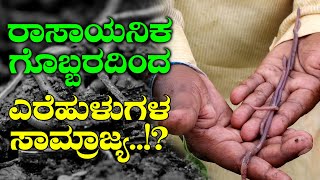 8 ವರ್ಷದ 1400 ಅಡಿಕೆ ಮರಗಳಿಂದ 1.5 ಲಕ್ಷ ರೂ. ಆದಾಯ? 1400 Areca nut plants, 1.5 Lakh income