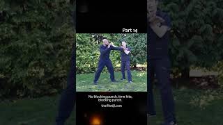 Wing Chun vs Mantis Kung Fu Techniques - Part 14 #shorts