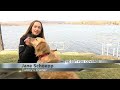 Firefighters save golden retriever from drowning in a freezing lake