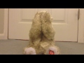 Tekky Toys Peek A Boo Bear