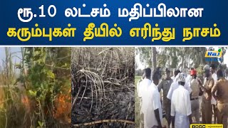 ரூ.10 லட்சம் மதிப்பிலான கரும்புகள் தீயில் எரிந்து நாசம்! | Puducherry | Sugarcane | Fire