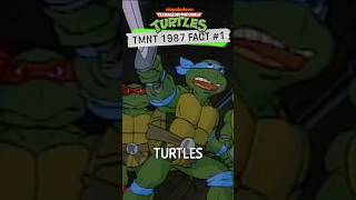 5 Facts About TMNT You DIDN'T Know! | #TeenageMutantNinjaTurtles #TMNT #Shorts