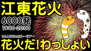 江東花火ライブ 19:10ｰ20:00 花火だ！わっしょい！ちんあなごchリレーツアー 66/2023【ちんあなご】目指せ100ヶ所 みんなでにょろや～ 2023.08.11 Fireworks