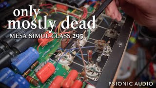 Only Mostly Dead | Mesa SimulClass 295