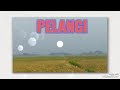 Pelangi - Vocal Piyan MS