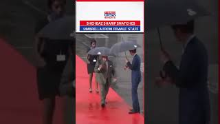 Pak PM Snatches Umbrella From Female Staff, Video Goes Viral #shorts