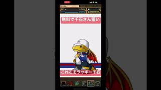 パズドラ　星7残りの千石さん一点狙い