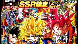 【ドッカンバトル ガチャ】天下一報酬！SSR確定ガチャ