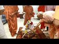 highlight maha shivratri 1100 kilo shakkariya utsav 26 02 2025 vadtal dham