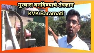 मुरघास बनविण्याचे तंत्रज्ञान ,KVK Baramati  murghas.,एका दिवसात वर्षभर टिकेल असा मुरघास ,