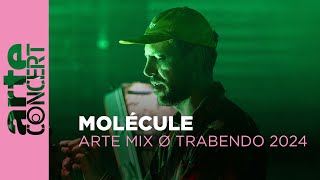 Molécule - ARTE Mix ø Trabendo 2024 - ARTE Concert