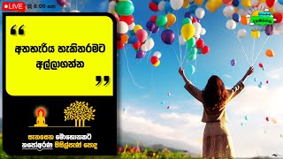 අතහැරිය හැකිතරමට අල්ලගන්න @අරුණැල්ලේ_දහම්සිසිල S2 - 15 @motivation @ThapoArana @සිංහල_බණ