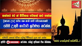 තත්පර 60න් ජීවිතය වෙනස්කරගමු  | Vinsanda Tv