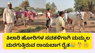 Mudalagi Bulls Market||oxen rate in mudalagi #cattlemarket #cattlesmarket #bullsmarket #oxen