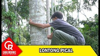 Lontong Pical | Garundang 169