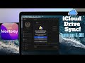 iCloud Drive sync Turn OFF on MacBook Pro M1