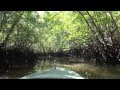 Bintan Mangrove Swamp Tour, Bintan Island, Indonesia