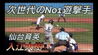 客席の事情通「この子はおそらくプロへ行くで」今年の代表ショートはこの選手で決まり！？仙台育英のショート入江大樹選手！跳ね返りの凄い特大弾あり！