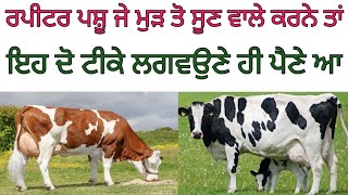 ਹੁਣ ਤੁਹਾਡੇ ਕਦੇ ਵੀ ਪਸ਼ੂ ਰਪੀਟਰ ਨਹੀਂ ਹੋਣਗੇ..? #agriculture #farming #dairyfarm #kisan