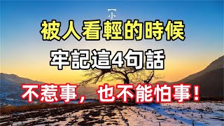 被人看輕的時候，牢記這4句話，做人不惹事，但也不能怕事！