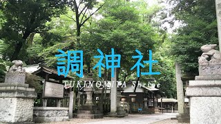 【浦和のパワースポット】うさぎのいる調神社　Tukinomiya shirin