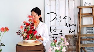 플라워레슨 528 접시 위 붉은 섬⛰꽃 장식 Flower lesson 528 Island centerpiece_Flower arrangement🌺