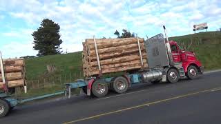 Trucks South of Hawera New Zealand SHW 3