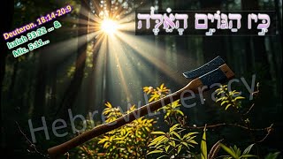 Ancient Triennial Linear Torah cycle 165 כִּ֣י׀ הַגֹּויִ֣ם הָאֵ֗לֶּה - Simchat Hashem LIVE drash