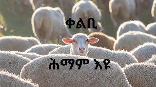 ቀልቢ ሕማም እዩ ፣ ፍዮዶር ዶስቶቪስኪ