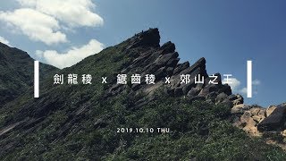 【瑞芳｜劍龍稜】東北角黃金十稜之一！刺激攀岩搭配無敵海景，體力練好春秋再來！