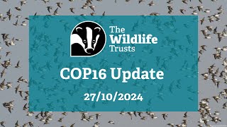 The Wildlife Trusts' #COP16 Update 27/10/2024