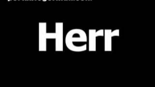 German word for Mr. is Herr